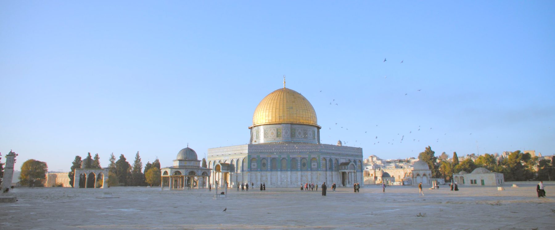 The Dome of the Rock across the open plaza, birds circling above the golden dome